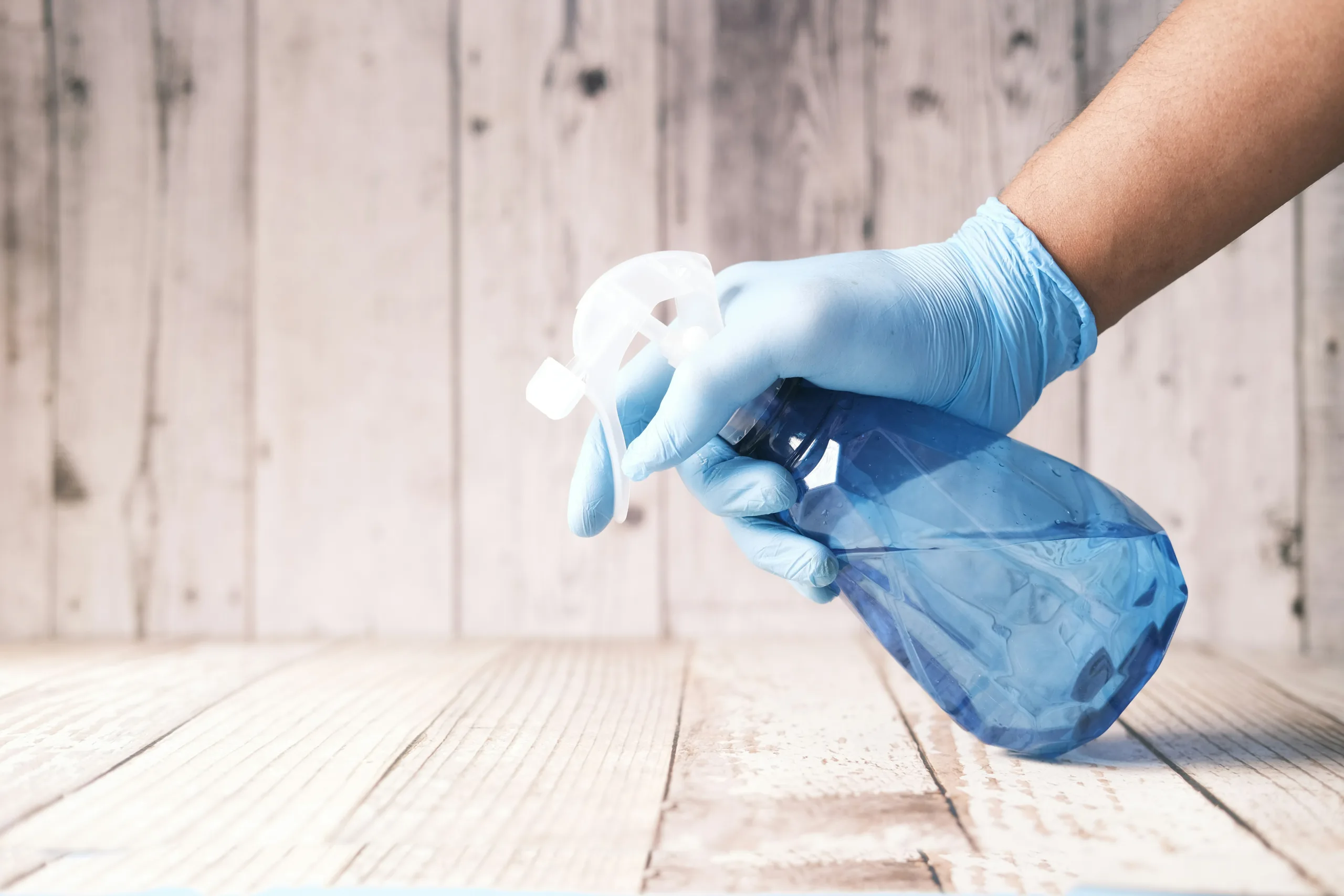 cleaning-services-professional-cleaning-services